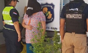 Una mujer fue detenida con dos plantas de marihuana en Guairá – Prensa 5