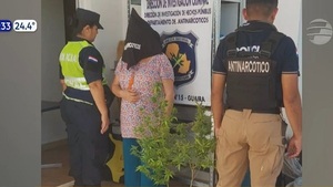 Ridícula detención de una sexagenaria por dos plantas de marihuana - Noticias Paraguay