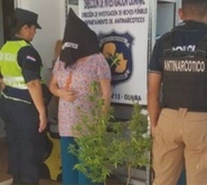Ridícula detención de una sexagenaria por dos plantas de marihuana - Paraguay.com