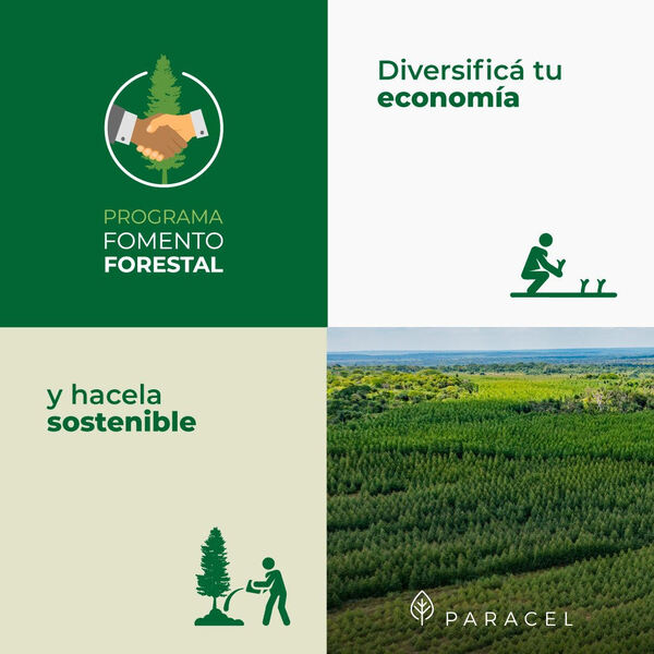 La mayor inversión privada en Paraguay ya genera 1.541 empleos.