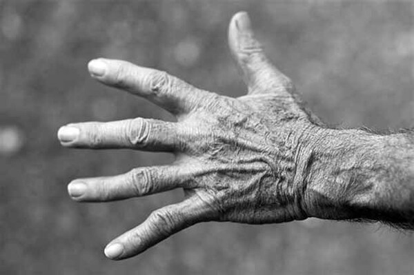 Fundación Tesãi conmemora el Día Mundial del Parkinson | DIARIO PRIMERA PLANA