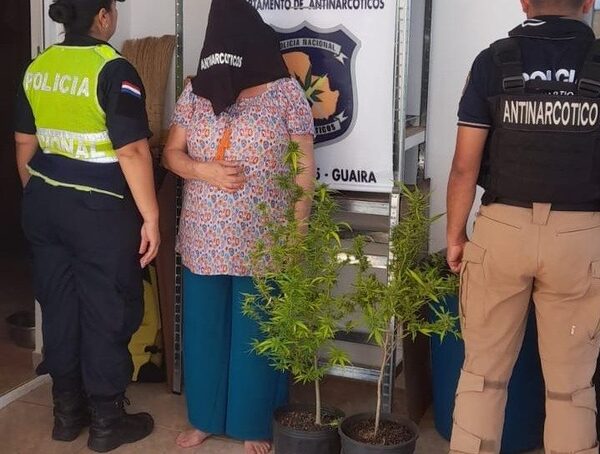 Cuestionan operativo para detener a mujer con dos plantas de marihuana en Guairá · Radio Monumental 1080 AM