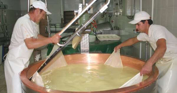 Diario HOY | Capital y Central concentran el mayor porcentaje de microempresas