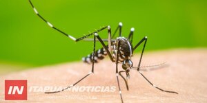 DESCIENDEN NOTIFICACIONES DE CASOS SOSPECHOSOS DE DENGUE EN ITAPÚA - Itapúa Noticias