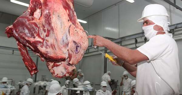 La Nación / Sector cárnico sigue trabajando para exportar al sudeste asiático