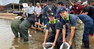 La Nación / Con apoyo de la Misión Técnica de Taiwán realizaron siembra ecológica de peces nativos