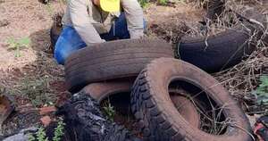 La Nación / Salud en alerta ante la primera muerte del año por dengue en la frontera