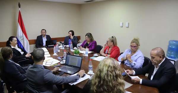La Nación / Comisión intentará unificar proyectos