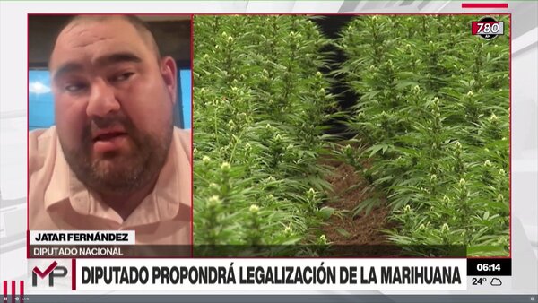Diputado propondrá legalizar el cannabis para uso medicinal y recreativo - Megacadena - Diario Digital