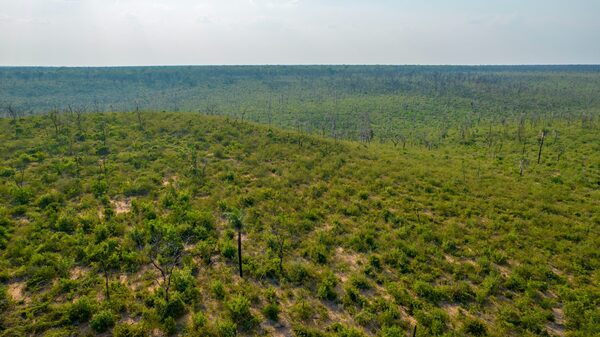 Gobierno impulsa titulación del Parque Chovoreca para proyectos de desarrollo sostenible del área - .::Agencia IP::.