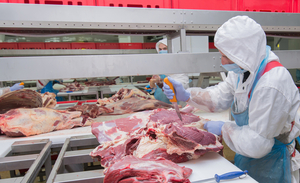 Envíos de carne bovina al exterior alcanzan USD 352 millones al cierre del primer trimestre - MarketData