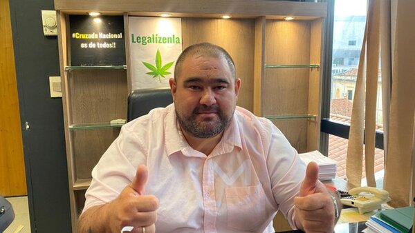 Diputado presenta proyecto que permite tener plantas de marihuana en las viviendas