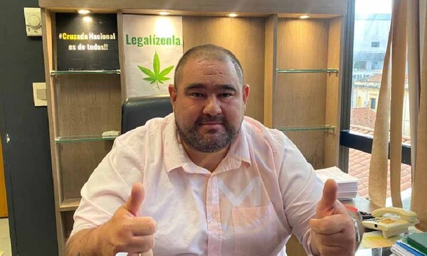 Diputado presenta proyecto que permite tener plantas de marihuana en las viviendas – Prensa 5
