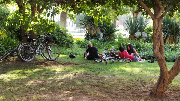 Necesitamos áreas verdes para soportar las olas de calor