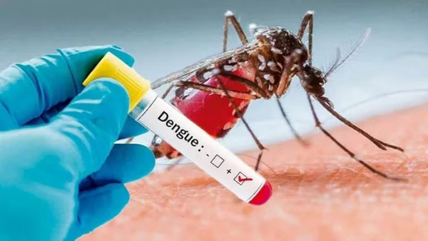 Continúan reportando casos de dengue en casi todo el país