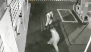 [VIDEO] ¡Lamentable! Bandidos matan a un guardia de solo 28 años