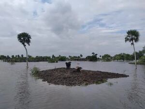 No llega la asistencia a la población inundada de Ñeembucú - Nacionales - ABC Color