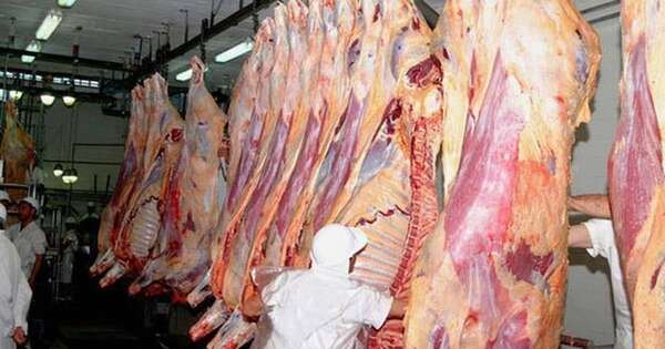 La Nación / Por más carne a Israel: auditoría culminó con éxito