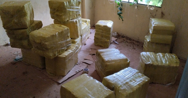 La Nación / Incautaron cerca 3 toneladas de marihuana en San Pedro