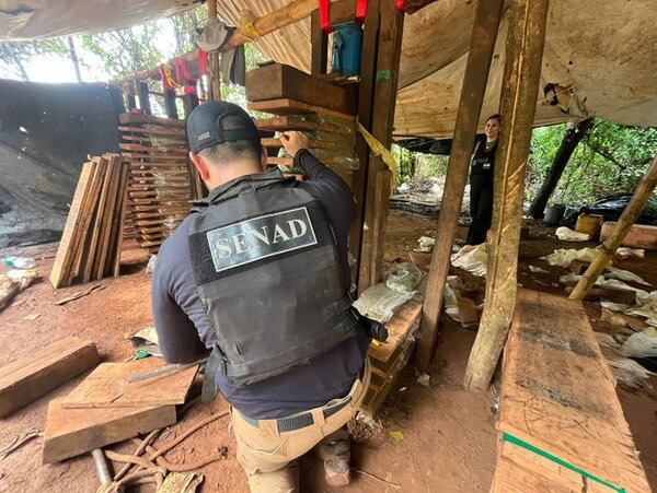 Senad incautó casi 3 toneladas de marihuana en San Pedro