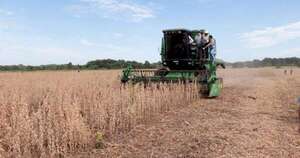 La Nación / USDA corrige al alza pronóstico de producción sojera a 10,5 millones t