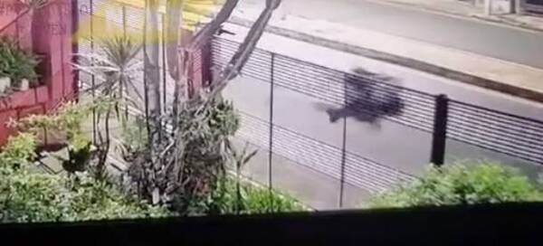 [VIDEO]Motoqueiro se quedó dormido y chocó contra una columna
