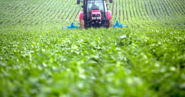 La Nación / Preocupa a productores ingreso del fenómeno La Niña