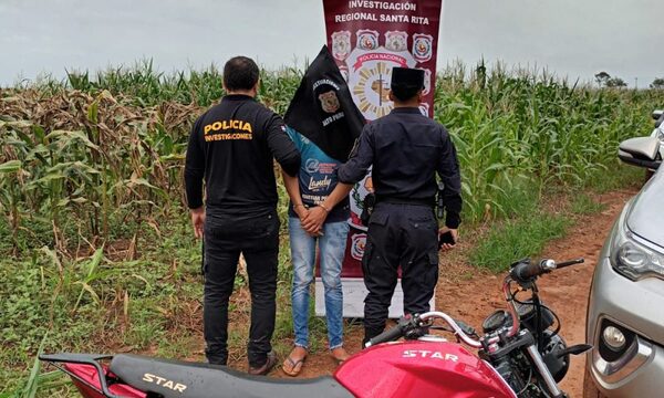 Robó una moto y lo guardó en una plantación de maíz