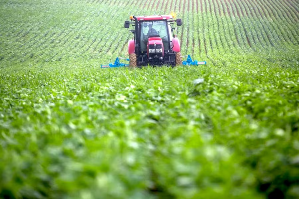 Preocupa a productores ingreso del fenómeno La Niña