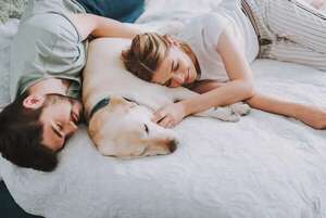 Dormir en compañía: ¿Con una mascota o un humano? - Mascotas - ABC Color