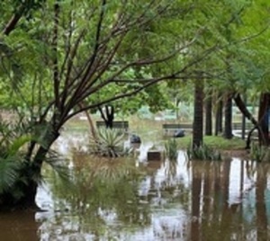 Cierran el Parque Ñu Guasu por inundaciones - Paraguay.com