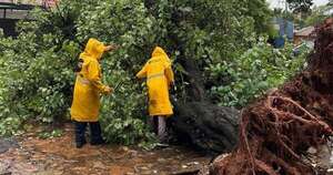 Diario HOY | Cuadrillas despejan calles de árboles caídos y “vestigios” del raudal en Asunción