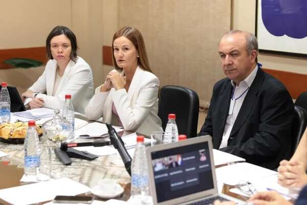 Fusión de planes antinepotismo no incluye a la iniciativa popular - Política - ABC Color