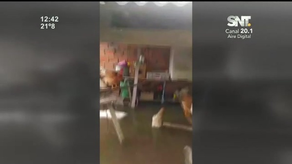Ñeembucú se encuentra inundada - SNT