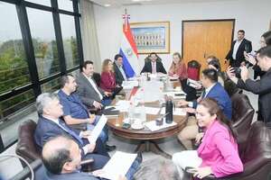 Ministra Barán se reune con diputados en medio de “tormenta” - Política - ABC Color