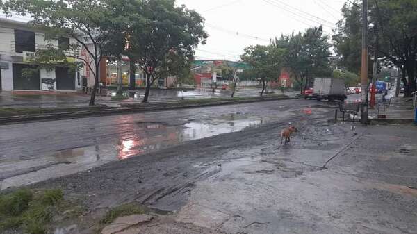 Avenida Fernando de la Mora: conductores, a merced de feroces baches - Nacionales - ABC Color