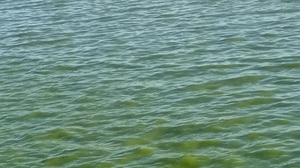 Color verdoso del arroyo Tacuary vuelve a preocupar a pobladores