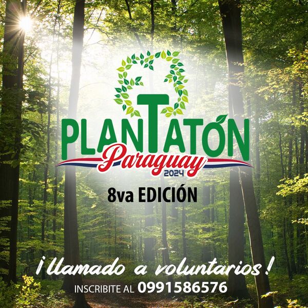 Llega la 'Plantatón' en su octava edición