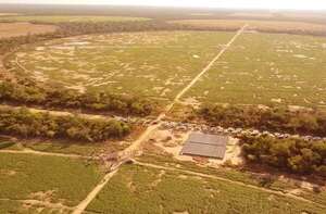 Rally de la Soja mostró  desafío de hacer agricultura casi sin lluvias - Economía - ABC Color