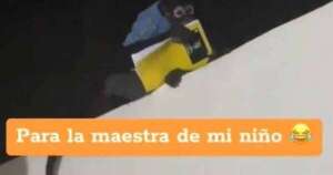 Diario HOY | VIDEO| Monito se hace viral por ‘robar’ la tarea de un niño
