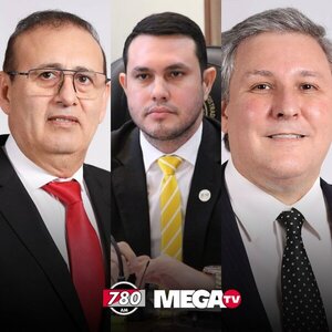 El cartismo recula sobre reposición de fueros a senadores - Megacadena - Diario Digital