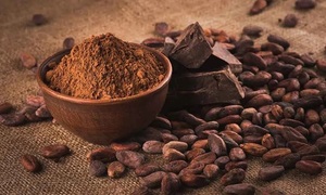 Conozca más del cacao | Telefuturo