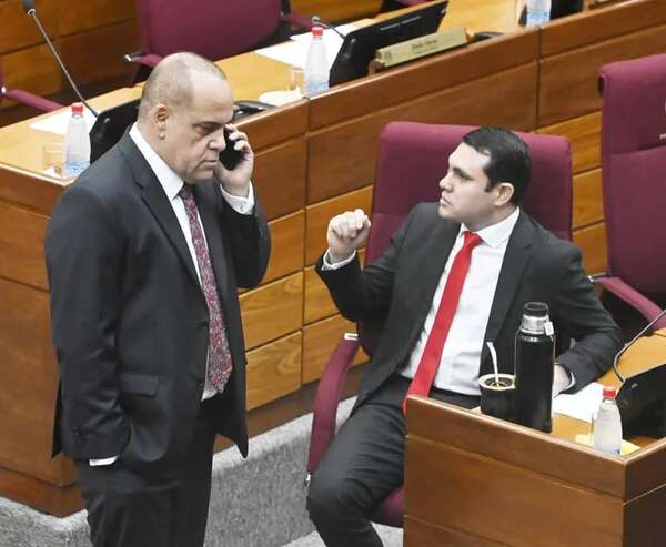 Reculada cartista en “des- desafuero”: ¿qué dicen los dictámenes de los constitucionalistas? - Política - ABC Color