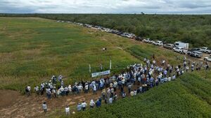 El rally de la Soja mostró los principales sistemas de producción eficientes para el Chaco