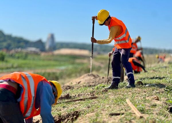 Plantatón 2024: sumarán 5.000 árboles a la Costanera Sur - .::Agencia IP::.