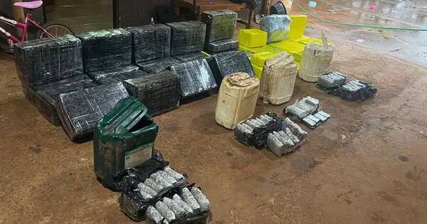 La Nación / Decomisan marihuana skunk en Minga Guazú