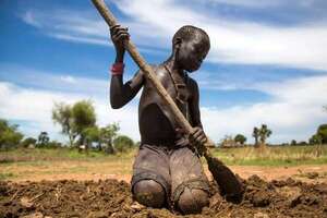 FAO alerta de que 1.000 millones de africanos no tienen una alimentación sana - Mundo - ABC Color