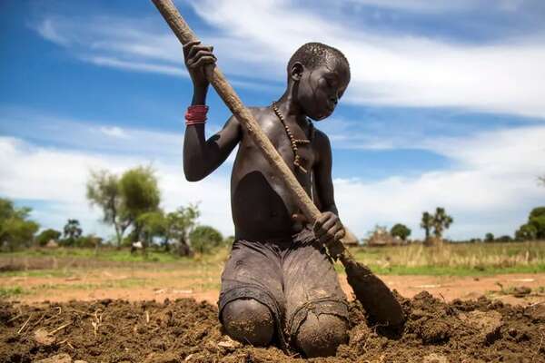 FAO alerta de que 1.000 millones de africanos no tienen una alimentación sana - Mundo - ABC Color