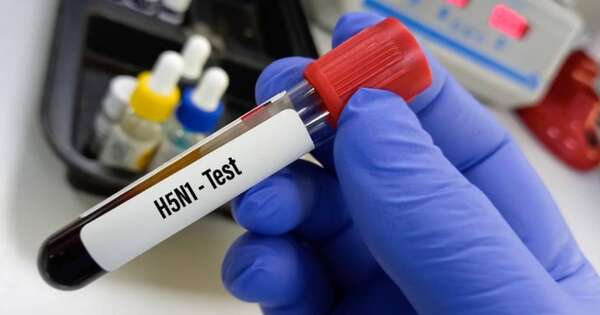 La Nación / OMS: transmisión de gripe aviar al hombre es una “gran preocupación”
