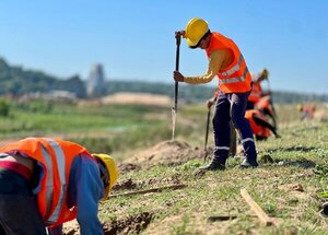 Plantatón 2024: sumarán 5.000 árboles a la Costanera Sur